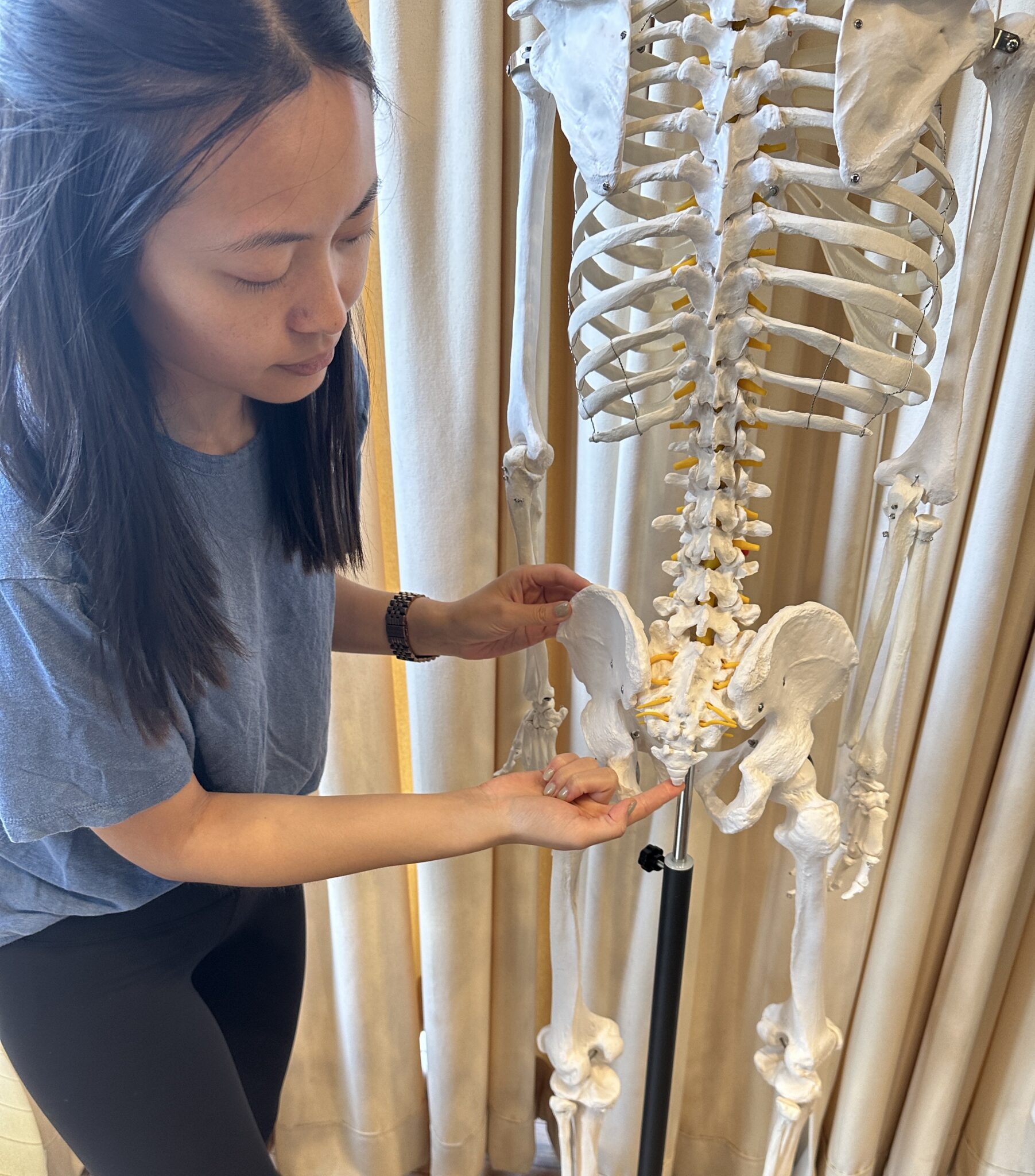 Pelvic Floor Therapy @ Physio Logic NYC