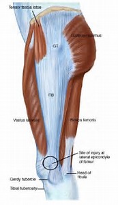 Iliotibial Band