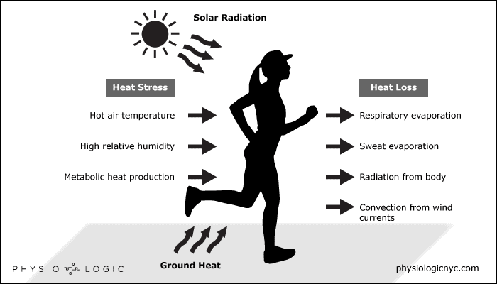 Fluid loss diagram by Physio Logic.